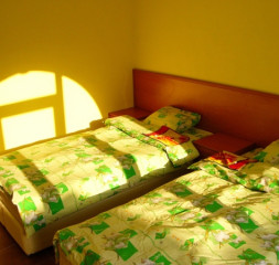 003.JPG