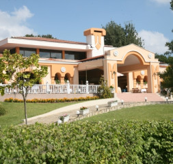 004.JPG