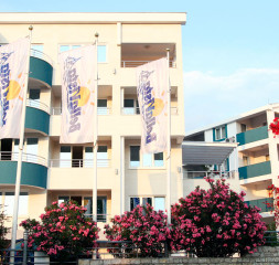 005.jpg