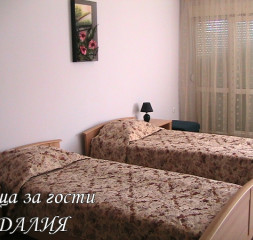 005.jpg