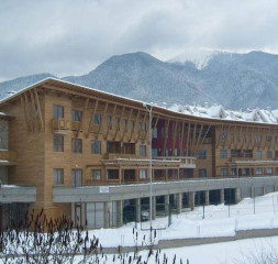 02.jpg