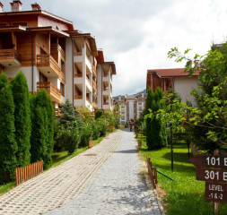 03.jpg
