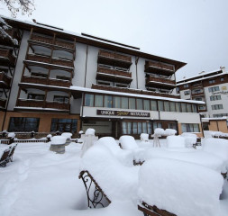 03.jpg