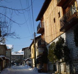 03.jpg