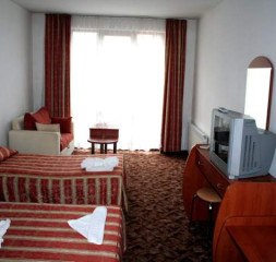 04.jpg