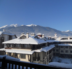 05.jpg
