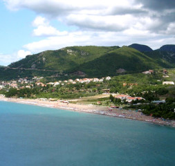 05.jpg