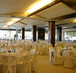 06.jpg