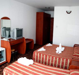 06.jpg