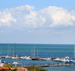 06.jpg