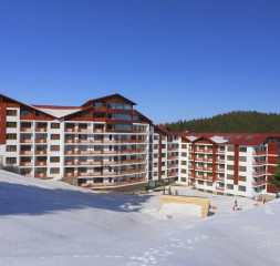 06.jpg
