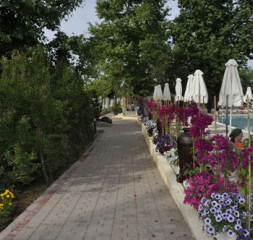 07.jpg