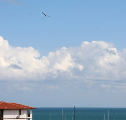 07.jpg