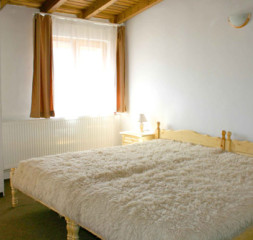 07.jpg