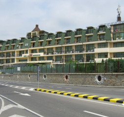 11.jpg