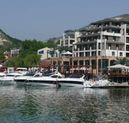 1252400734_890.jpg