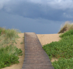132.jpg