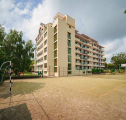13.jpg