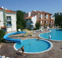 13.jpg