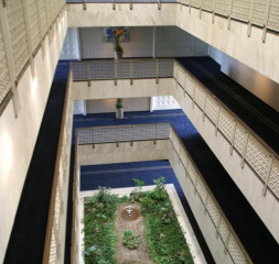 21007696.jpg