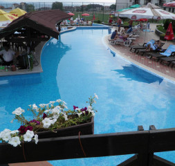 27049001.jpg