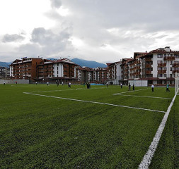 27049677.jpg