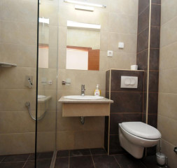 31366005.jpg