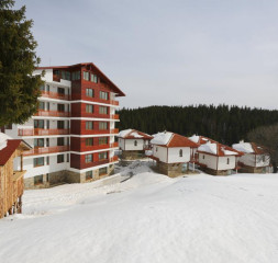 3172626.jpg