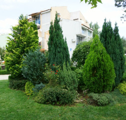 32.jpg