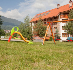 33141834.jpg