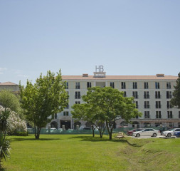 33149065.jpg