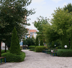 33.jpg