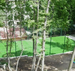 39.jpg