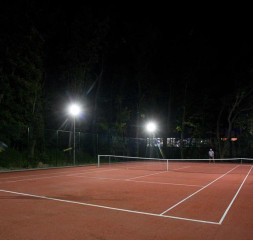 44661500.jpg