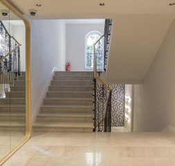 54315532.jpg