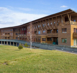 59737079.jpg