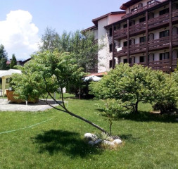 60332815.jpg