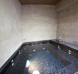 61016751.jpg