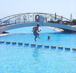 72.jpg
