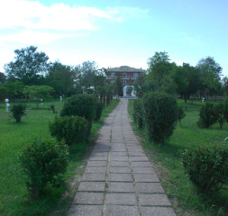7869.jpg