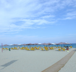 7870.jpg