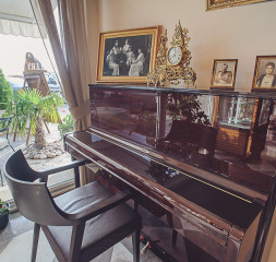 9077.jpg
