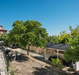 Backyard_3.jpg