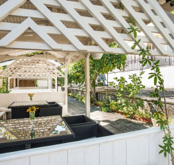 Backyard_5.jpg