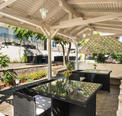 Backyard_7.jpg