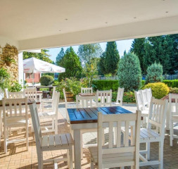 Bar_Terrace.jpg