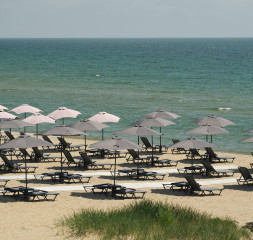 Beach.jpg