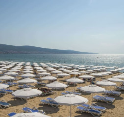 Beach.jpg