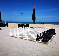 Chess.jpg