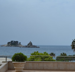 DSC_0244.JPG